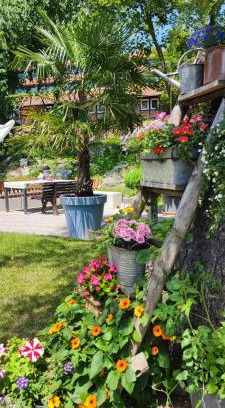 Erfurt Appartement | Apartment im Grünen mit Anbindung ans Zentrum