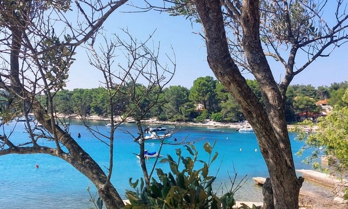 Artatore Appartement | Apartment in Artatore with Air condition, WIFI (5191-1)