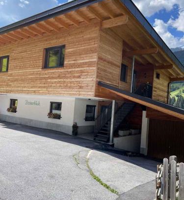 See Appartement | Apartment in See im Paznaun 691