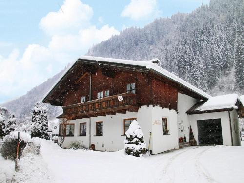See Appartement | Apartment in See near Bathing Lake