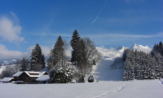 Obermaiselstein Appartement | Appartement à la montagne avec un balcon orienté ouest! WiFi gratuit!