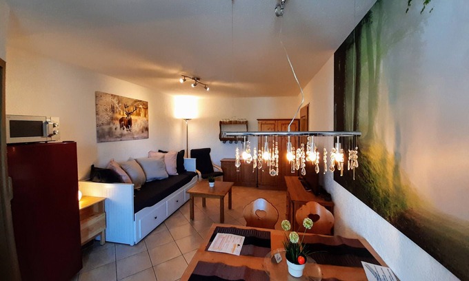 Todtnauberg Appartement | Appartement dans le sud de la Forêt-Noire avec piscine intérieure + sauna, paradis du ski et de la randonnée