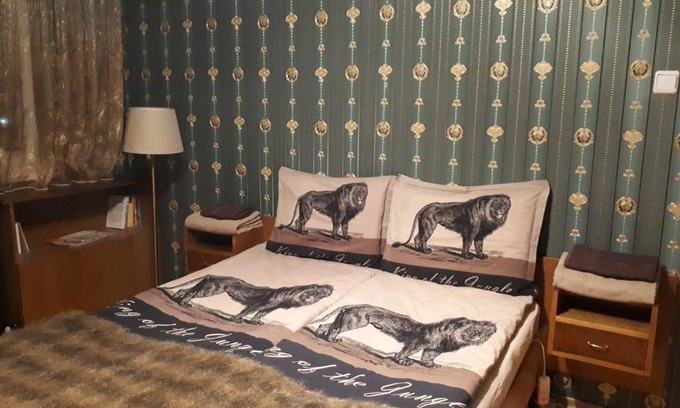 Sofia City Center Appartement | Apartment In the spirit of Old Sofia