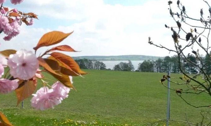 Mecklenburgische Kleinseenplatte Appartement | Appartement Mäckelborg sur la belle Woblitzsee - Appartement Mäckelborg