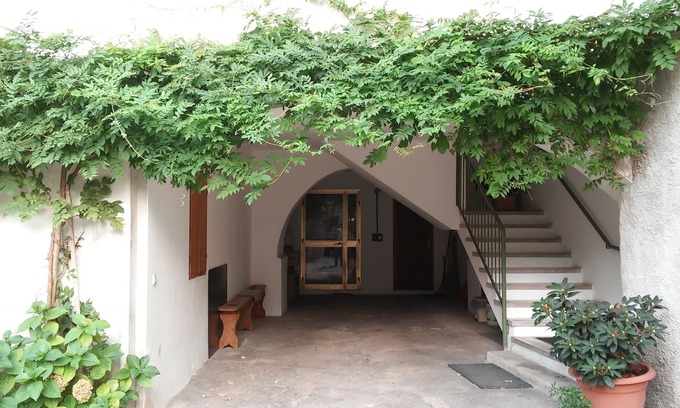 Lasino Appartement | Masi Appartement - Olga