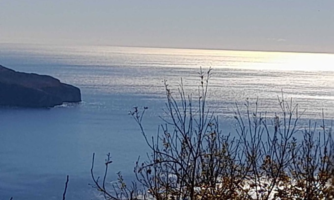 Pisciotta Appartement | Apartment 'Monolocale Mimosa' with Sea View, Wi-Fi and Air Conditioning