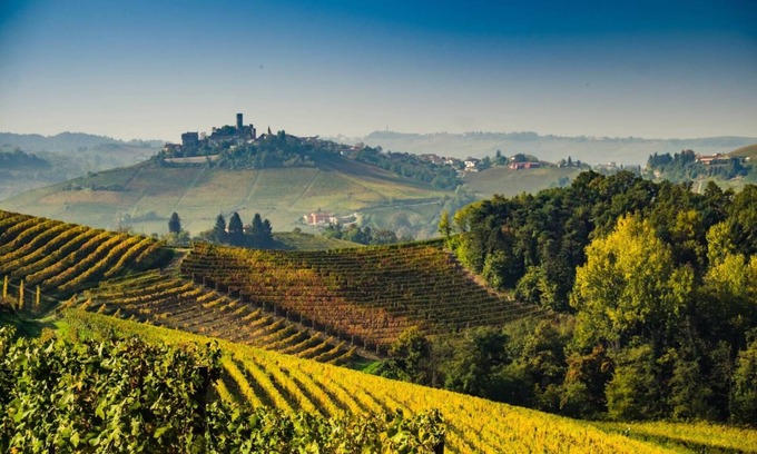 Rocca Grimalda Appartement | Apartment 'Nel Cuore Del Monferrato' with Shared Terrace and Private Garden
