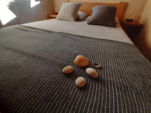 Merag Appartement | Apartment Nona Keka