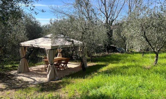 Settignano Appartement | Appartement "Olive Loft - Settignano" avec jardin partagé et Wi-Fi