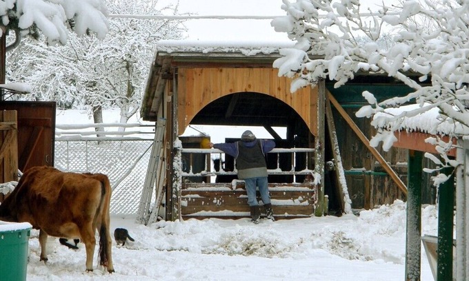Warthe Appartement | Appartement dans une petite ferme en plein air