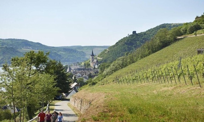 Mainz-Bingen Appartement | Apartment Pinot Noir
