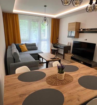 Radvan Appartement | Apartment R&L Švermová - 2 min ESC, balcony