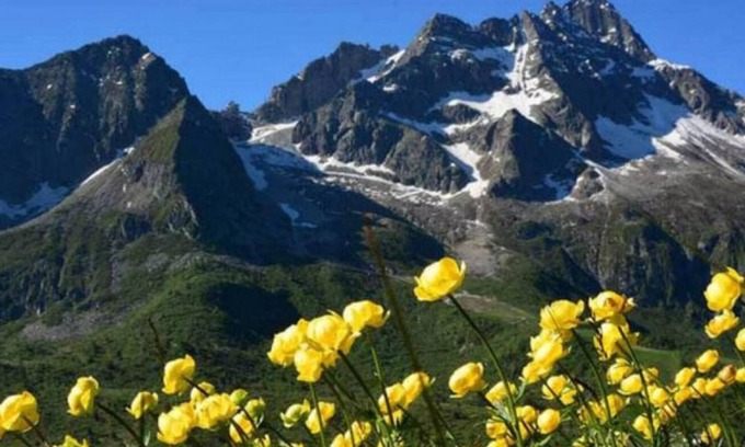 Passo del Tonale Appartement | Pet-Friendly "Residence Adamello Bilocale" with Mountain View & Balcony