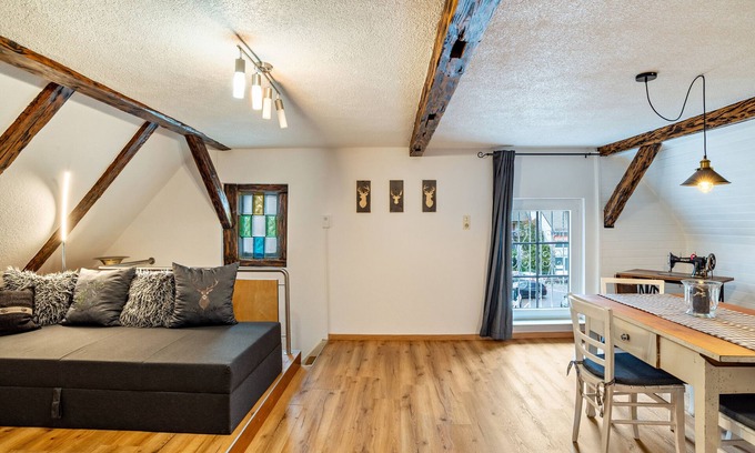 Buhl Appartement | Appartement 'Schwarzwaldtani - Städtle' avec Wi-Fi et climatisation