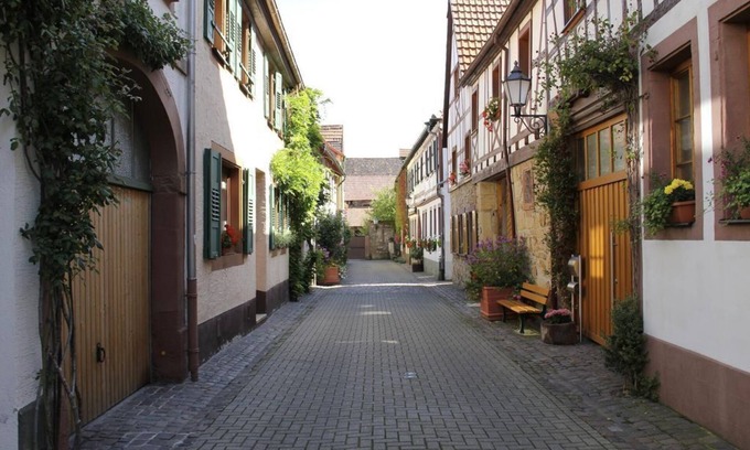 Bad Bergzabern Appartement | Appartement Sparrow - Appartement à 3 lits 45m²