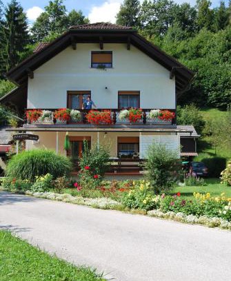 Spodnja Lipnica Appartement | Apartment Stefelin