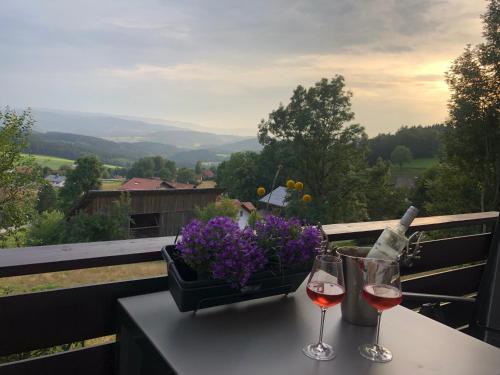 Bobrach Appartement | Apartment Tälerblick Maxi, neu modernisiert