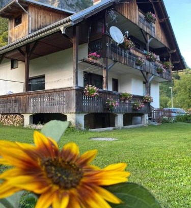 Studor Appartement | Apartment V&N, LAKE BOHINJ