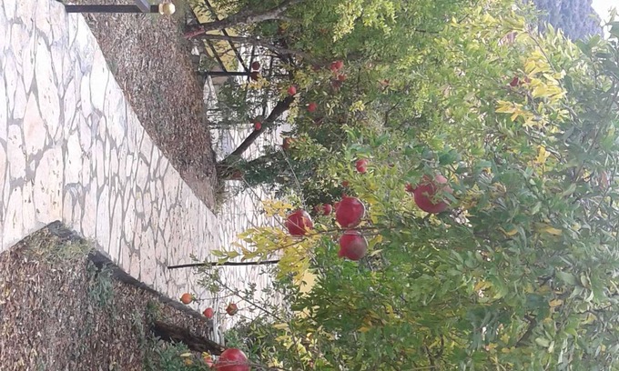 Kumluca Cabine | Apartment with 4 beds: small balcony and large veranda - holiday home Waldwilla-Waldapart