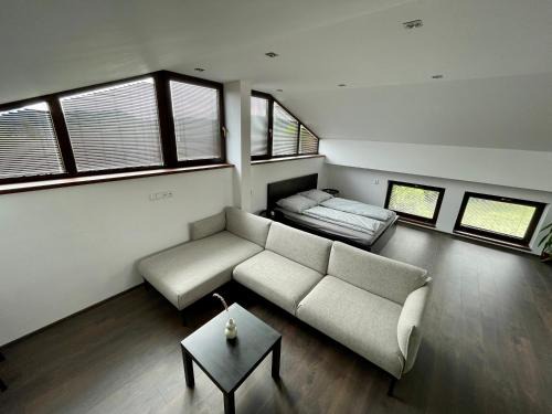 Kraluv Dvur Appartement | Apartment With a View