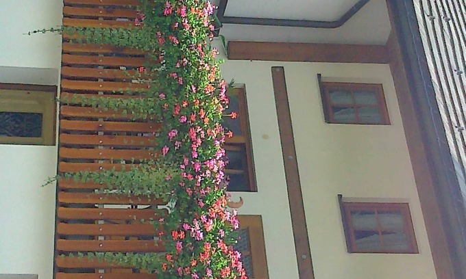 Brandenberg-Fahl Appartement | Appartement jaune - Haus Rosenhof
