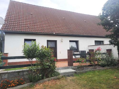 Zirkow Appartement | Apartment Zirkow 6