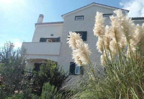 Ilovik Appartement | Apartments Azur