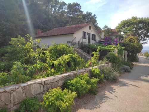 Zastrazisce Appartement | Apartments by the sea Cove Vela Stiniva, Hvar - 19951