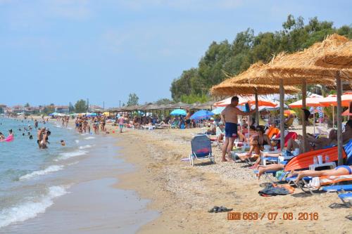 Paralia Dionysiou Appartement | Apartments Dimitra