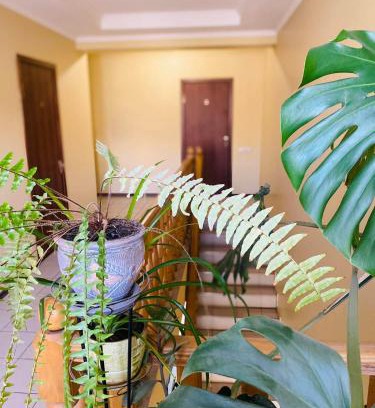 Uman Appartement | Apartments
