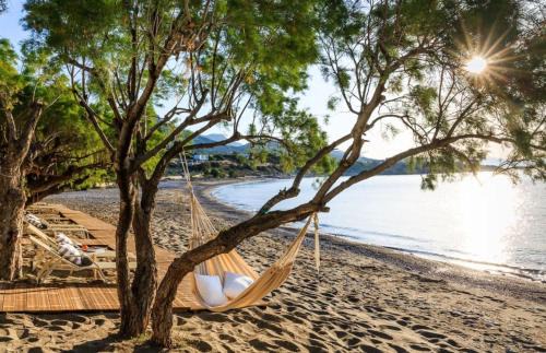 Koutsounari Appartement | Apothikes Apartments