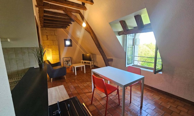 Saumur Appartement | Apparently historic in the center of Saumur
