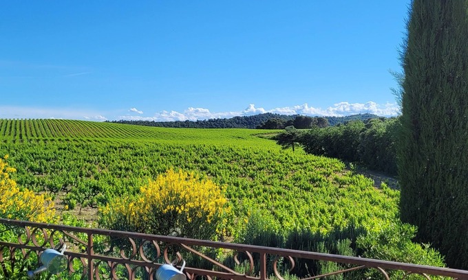 Mondragon Appartement | Apparently T2 in house in the middle of the vineyards