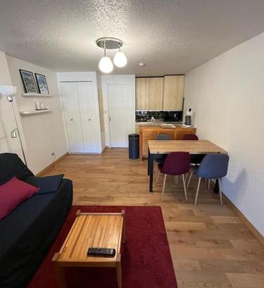 Saint-Lary-Soulan Appartement | Appart Cosy au centre du village