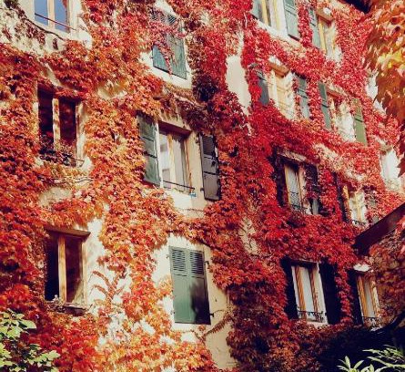 Plainpalais Appartement | Appart'Hôtel Residence Dizerens