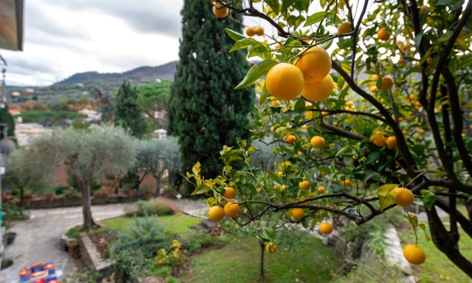 San Lorenzo della Costa Appartement | Appartamento in giardino, soggiorno minimo 5 notti