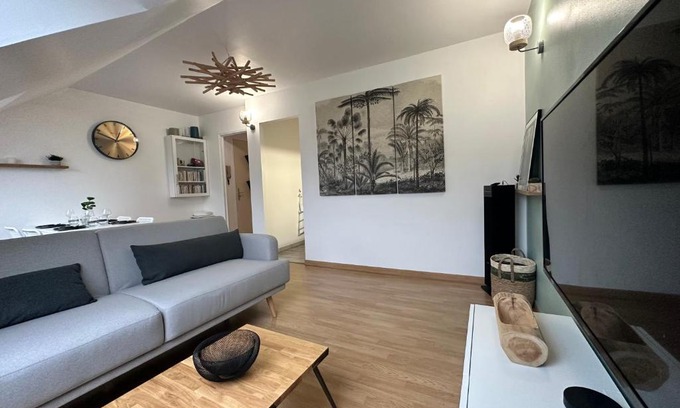 La Fleche Appartement | Appart T3 confort 4-6 pers - CLIM-Hypercentre
