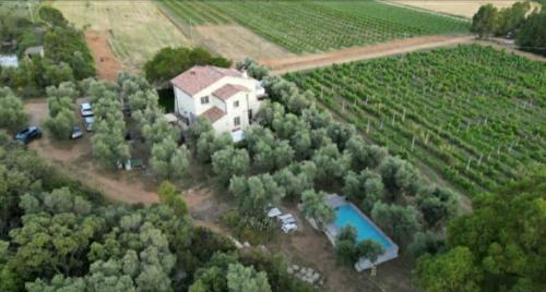 Pian di Rocca Appartement | Appartamenti in Villa