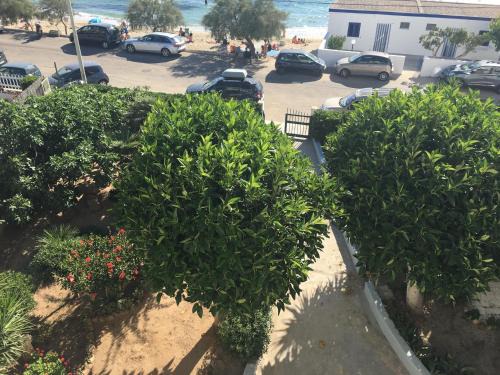 Lido Conchiglie Appartement | Appartamenti Antonaci