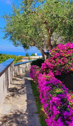 Panza Appartement | Appartamenti Luongo