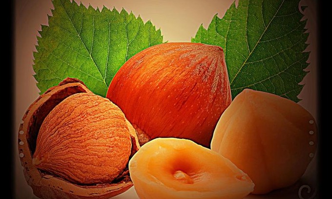 Prati Appartement | Appartamento arredato uso turistico "La Nocciola"