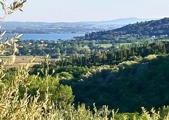 Tuoro sul Trasimeno Appartement | Appartamento Coccinella