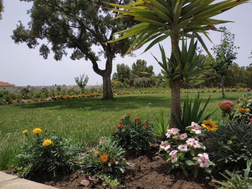 Carbonia Appartement | Appartamento Sulcis Sardegna