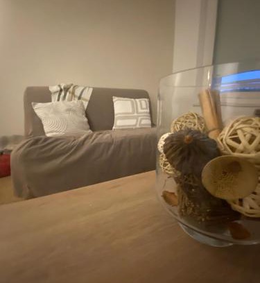 Varennes-Saint-Sauveur Appartement | Appartement chaleureux au cœur de la Bresse