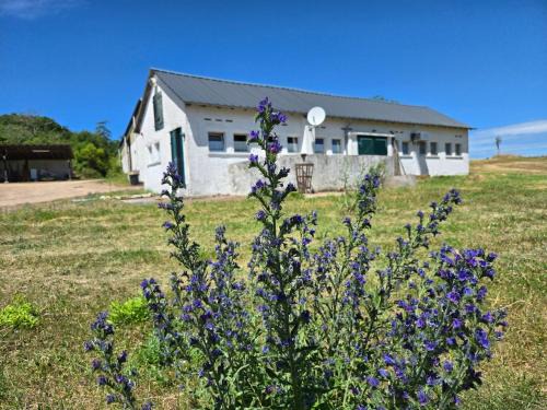 Sauerthal Maison | Appartement am Landhaus