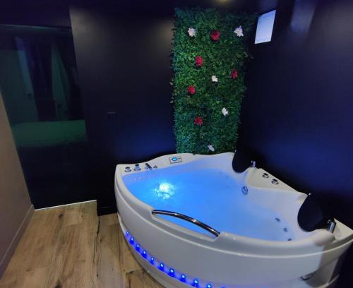 Villiers sur Orge Appartement | Appartement avec jacuzzi