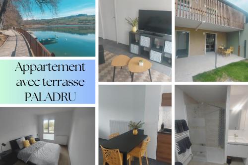 Paladru Appartement | Appartement avec terrasse LO du Lac - Paladru