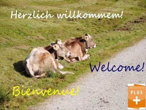 Steibis Appartement | Appartement Bergfrieden Oberstaufen