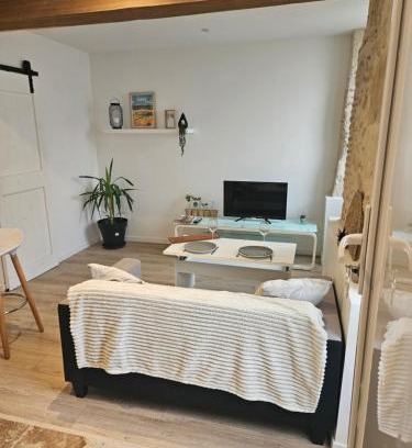 Auch Appartement | Appartement centre historique d'Auch