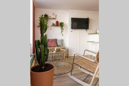 Haie Vigne Appartement | Appartement chaleureux en centre-ville de Caen